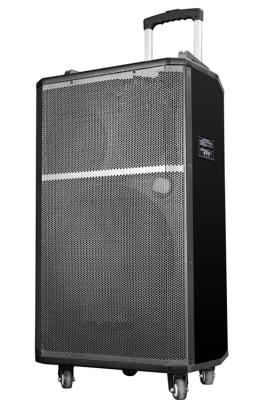 China 15 Inch Professional PA Portable Speaker System With Wireless Microphone for sale