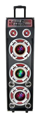 China Professional Portable Speaker System , Bluetooth Wireless Dj Speakers For Dance for sale