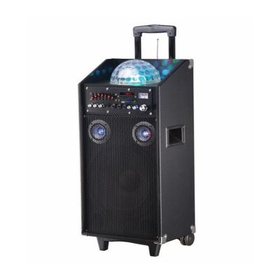 China 10 Inch Pro Audio Bluetooth Trolley Speaker With Bass And Microphone for sale