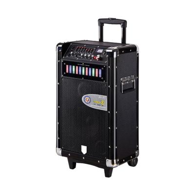 China Rechargeable DJ Bluetooth Trolley Speaker Portable Speaker Box On Wheels for sale