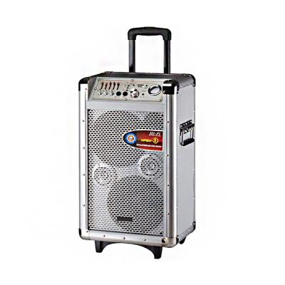 China 100 Watt Professional PA Portable Trolley Speaker Bluetooth Active Speakers for sale