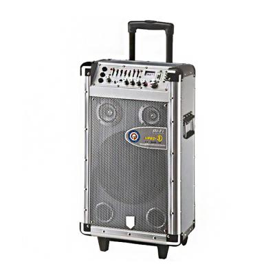 China 10 Inch Stage Active Bluetooth Trolley Speaker With Equalizer And Aux Input for sale