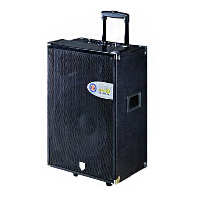 China Plastic Portable Trolley Audio Box Speaker With USB / SD / FM / Bluetooth Function for sale