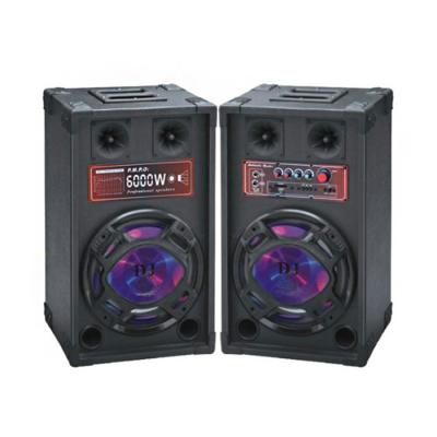 China 10 Inch Subwoofer Portable Bluetooth Battery Powered PA Speaker For Home Party for sale