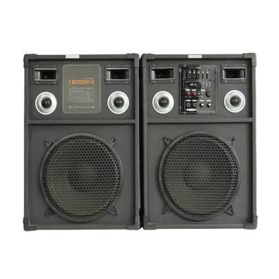 China 12 Inch Subwoofer Portable Bluetooth PA Speakers 2 Way Mic Input For Karaoke for sale