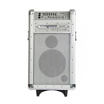 China Professional Wooden Battery PA Speaker System With Dvd Player / Fm And Usb for sale