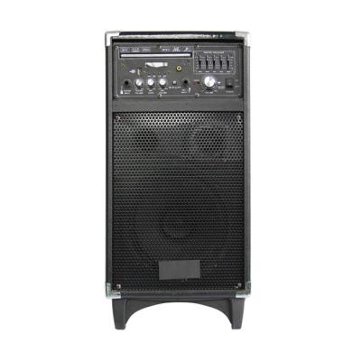 China 8 Inch Portable Trolley Speaker Battery Powered Pa System With Dvd Player And Bluetooth for sale