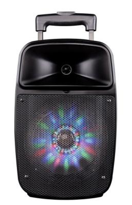 China 12 Inch Bluetooth Function Rechargeable Portable Trolley Speakers With Led Lights for sale