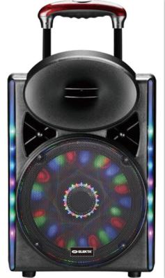 China Led Lights Outdoor Portable Speaker System With Bluetooth And Microphone for sale