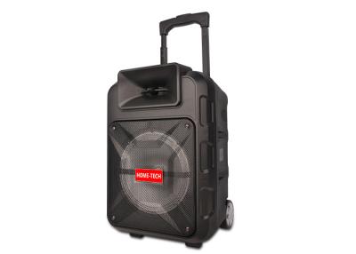 China 8 Inch Rechargeable Portable Trolley Speaker with Bluetooth , LED Lights , FM Radio Function for sale