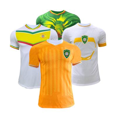 China 2023-2024 Africa Cup Jersey Lightweight Twill / Plain Pattern Soccer Team Jersey zu verkaufen