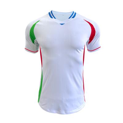 Κίνα Italy 2024 Euro Jersey Quick dry material 120-160gsm Fabric Weight προς πώληση