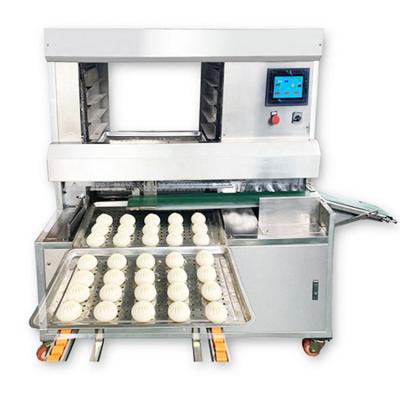 China food & Rustproof Beverage Factory And Durable Mooncake Arranging Machine Cookies Dangle Plate Machine for sale