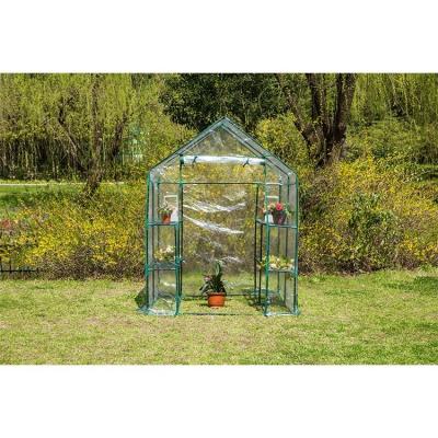 China Metal Frame Garden Canopy PVC Agricultural Greenhouse for Sustainable Farming for sale