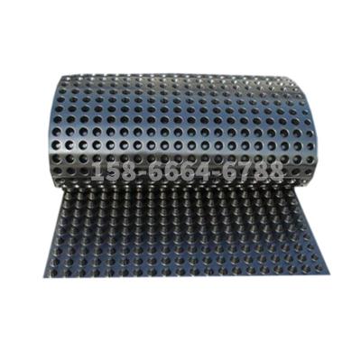 China New Product Contemporary Roof Garden Water Storage Drain Cage Durable Plastic Drain Panel for sale