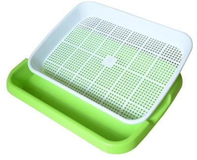 China Plastic Seed Planting Sprout Tray Two Tier Kitchen Sprout Planter for Wheatgrass Germination Tray for sale