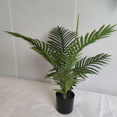 China Wholesale Eco-Friendly Artificial Indoor Outdoor Plastic Trunks Decoration Palm Plastic Kwai Palm Tree Green Plants for sale