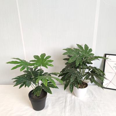 China Hot Sale Eco-friendly Artificial Monstera Green Indoor Dill Plant Artificial Plant For Indoor Decor for sale