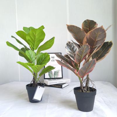 China Eco-friendly Artificial White Dieffenbachia Plant 62*15*15cm Pretty Leaf Large Faux Leaf Plant In PP Pot for sale