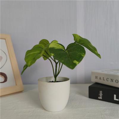 China Factory Direct Price Lovely Office Decoration Eco-friendly Office Decoration Artificial Succulent Potted Plant for sale