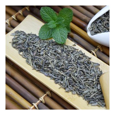 China Tea loose CHINA MOROCCO GREEN MINT TEA SAHARA TEA 9366 9367 9368 9370 FOR MOROCCO SARAHA SAHRAWI MARRAKECH for sale