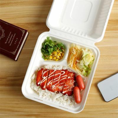 China Recyclable Custom Personalize Restaurant To Go Take Out Lunch Carry Packaging Disposable Pla Rectangle Bagesse Takeout Food Boxes for sale