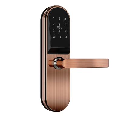 China Electric Smart Lock Home/Office/Hotel/Hospital/School Fingerprint Keyless Entry Finger Door Ttlock Smart Alexa Gate Locks Wifi Home for sale