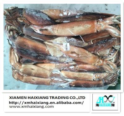 China Good Quality New Season Frozen Giant Squid Low Fat Squid Tube for sale