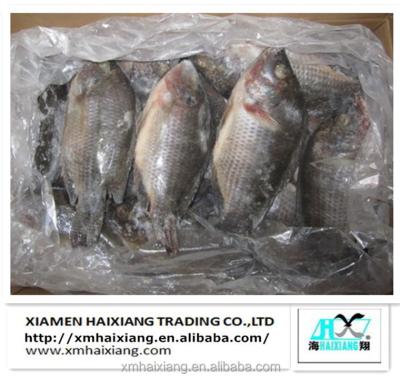 China Export FROZEN Whole Round Frozen Tilapia Seafood China Price for sale