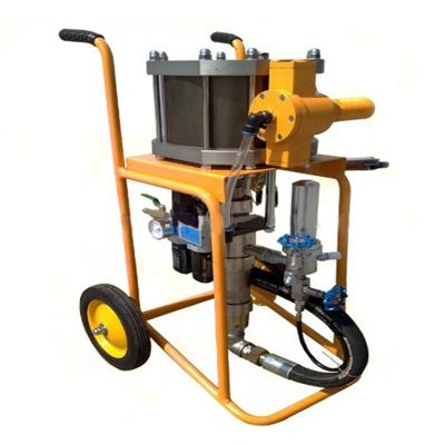 China Airless Piston Pump Air Compressor Assisted Airless Paint Sprayer DP-6391B for sale