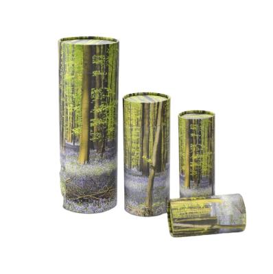 China Viable Direct Wholesale Custom Pet Cremation Tubes Scatter Plant Bio Urns for sale