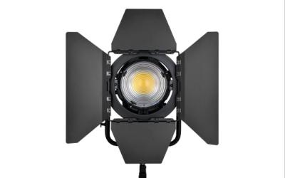 Cina 5600K 200W ha condotto il punto di illuminazione della macchina fotografica per la videocamera portatile di Canon Nikon in vendita