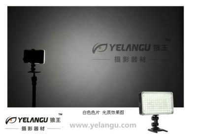 Cina Canon professionale ha condotto la luce per la macchina fotografica/luce rettangolare della videocamera portatile in vendita