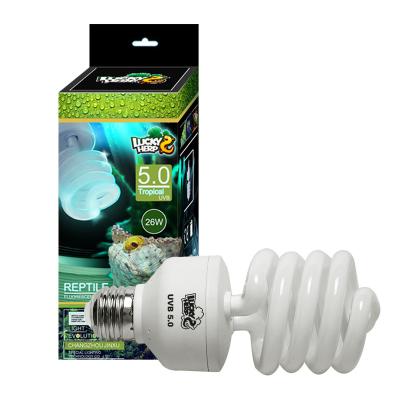 China Sustainable Compact Fluorescent Lamp 26W Reptile UVA UVB 5.0 Spiral Bulb For Turtle for sale