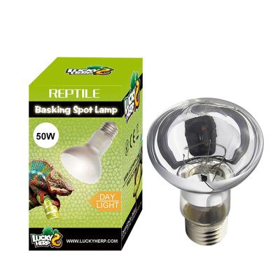 China Pets Back Home Reptile Lamp , Intense Basking Spot Lamp Day And Night120v/220-240v For Mini Reptile Greenhouse 40w 60w 100w 150w for sale