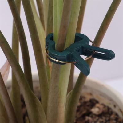 China Reusable Garden Garden Clamp Small Plastic Cane Tie Plant Support Spring Staples for sale