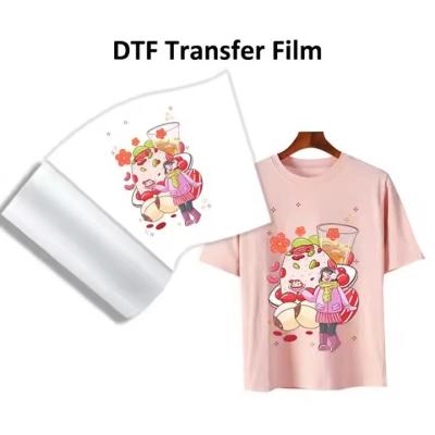 China Double Side 30cm 60cm DTF Film Roll 75mic Pet Film For Heat Transfer Printing for sale