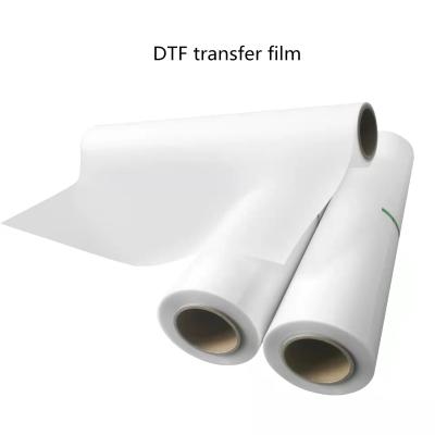 China 30cm Cold Peel DTF Transfer Film Sheets Double Side Direct To Film T Shirt Printing for sale