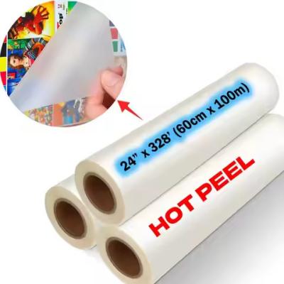 China 75microns 30cm DTF Transfer Film Matte And Cold Peeling Direct To Film for sale