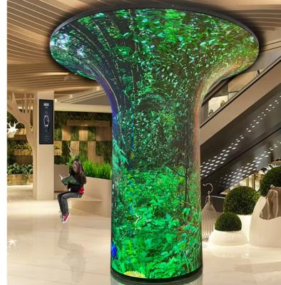 China Customized 1024 Shade LED Display Screen For Shopping Mall Exhibition Hall for sale