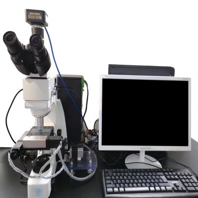 China Binocular biological microscope fluorescence optical microscope for sale