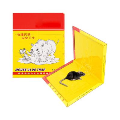 China Home Hot Selling Rat Glue Cardboard Board TRAPS Mouse Killer Cardboard Packing Cardboard Mouse Glue Sticky Trap for sale