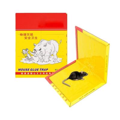 China Best Customization Wholesale Market Mouse Traps Pest Trap Rat Glue Board Adhesive Cardboard Mouse For Pest Mouse Control for sale