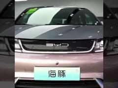 China Electric EV Cars Byd Dolphin New Energy Sedan 4 Wheel Cars