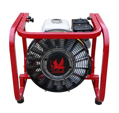 China Cast Iron 5.5hp Turbo Blowers, Smoke Exhaust Fan, Fire Blower, PPV Fans for sale