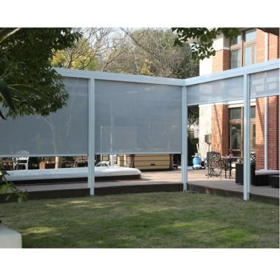 China Modern Design High Quality Outdoor Indoor Windproof Roller Shade en venta