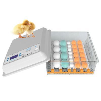 China 22 Capacity Fully Automatic Egg Incubator With Automatic Egg Turning for sale