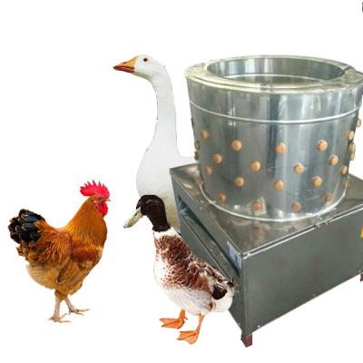 China Customized hot sale product ML-50TM plucking machine poultry plucking machine poultry feather chicken slaughter line for sale