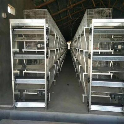 China Farms best quality chicken layer battery cage construction china design layer chicken cages for sale