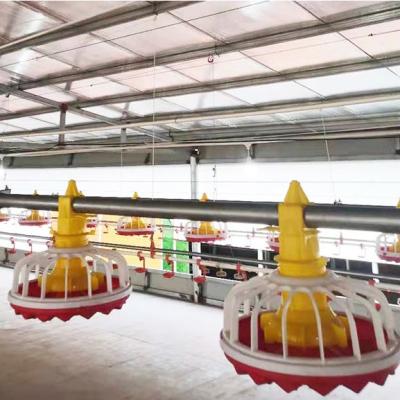 China Farms 2021 New Arrive Automatic Drinking Feeder Broiler And Drinker Line for sale